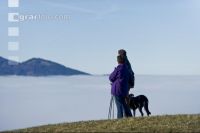 Nebel im Tal 17