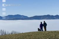 Nebel im Tal 18