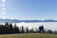 Nebel im Tal 19