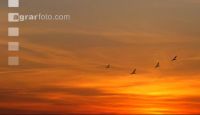 Photovoltaik Abendsonn