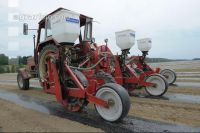 Gurken pflanzen 1