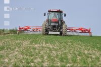 Curry-comb grain 17