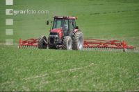 Curry-comb grain 16