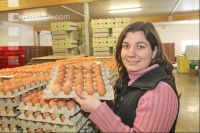 Eier sortieren J 11