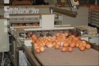Eier sortieren J 9
