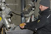 Mais Ganzkornsilage 1