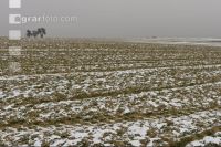 Gerste Auswinterung 5