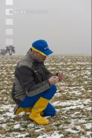 Gerste Auswinterung 2