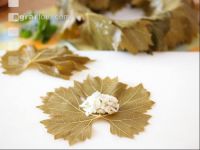 Dolmades zubereiten 5