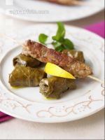 Dolmades Fleischspieß 1
