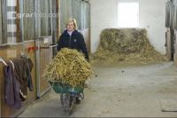 Pferdestall ausmisten 5