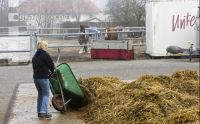 Pferdestall ausmisten 6