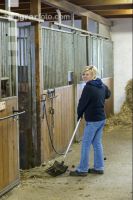 Pferdestall ausmisten 7