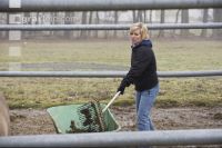 Pferdestall ausmisten 8