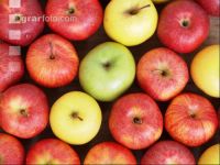 Apfel 9
