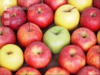 Apfel 8