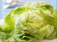 Kopfsalat 7