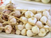 Knoblauch 4