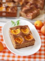 Marillenkuchen mit Schokolade 1