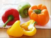 Paprika 16