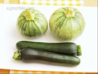 Zucchini Arten 1