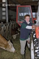 Stallarbeit 1