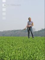 Gerste bestockt 45