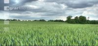 Gewitter kommt 2 ID581
