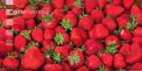 Erdbeeren ID49102