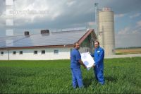 Bauplan Schweinestall 14