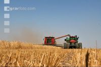 Weizen Ernte J 68 ID50
