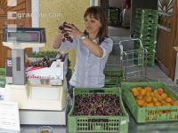 Verkaufsstand Obst 4