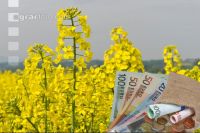 Ölsaaten Preis 4