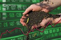 Börse und Raps 2