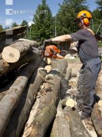 Brennholz abschneiden 2