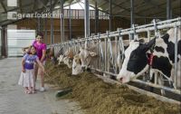 Children on the farm 4