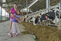 Kinder am Hof 3