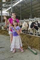 Kinder am Hof 2