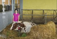 Kinder am Hof 19