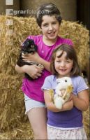 Children on the farm 14