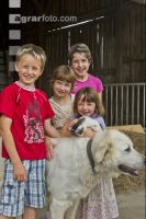 Kinder am Hof 11