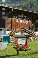 Urlaub am Reiterhof 1