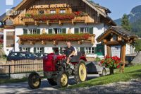 Urlaub am Bauernhof 15