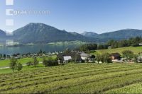 Urlaub am Reiterhof 6