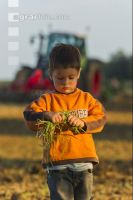 Kind Landwirtschaft