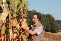 Corn Farmer J 37