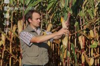 Corn Farmer J 31