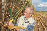Corn Farmer J 18