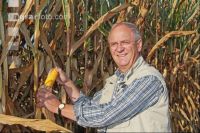 Corn Farmer J 15