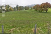 Weide Mist Herbst